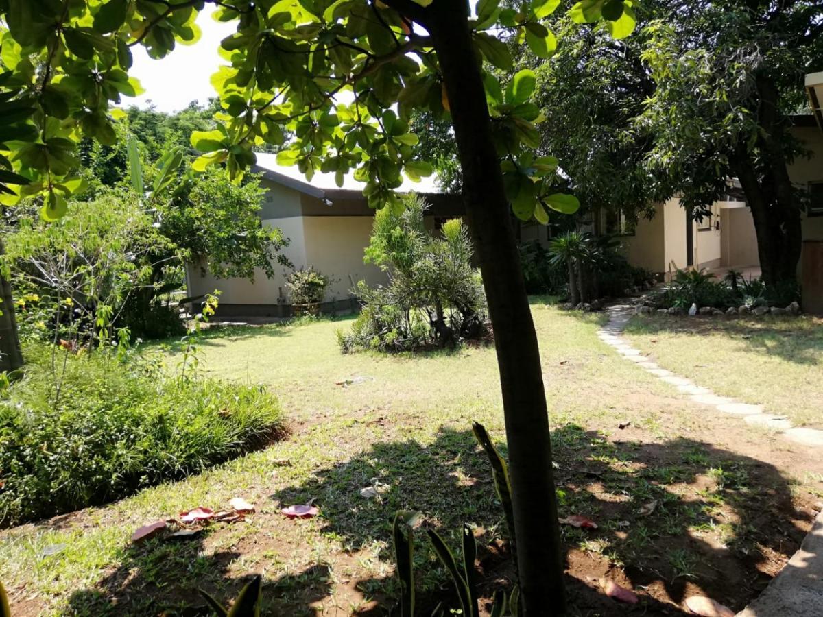 Elephant Walk Guesthouse And Back Packers بهالابوروا المظهر الخارجي الصورة
