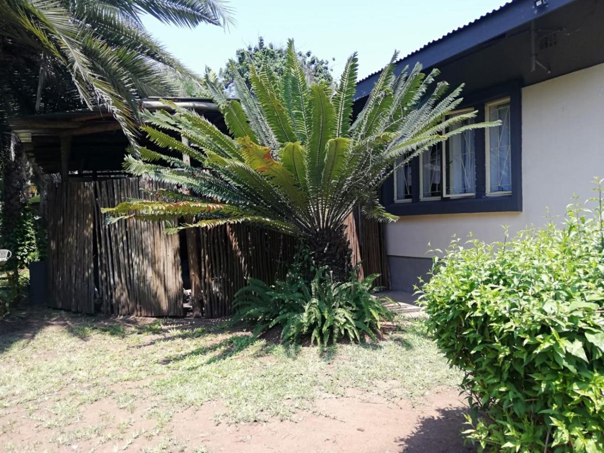 Elephant Walk Guesthouse And Back Packers بهالابوروا المظهر الخارجي الصورة