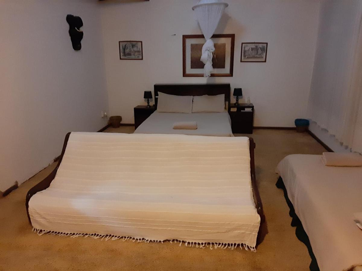 Elephant Walk Guesthouse And Back Packers بهالابوروا المظهر الخارجي الصورة