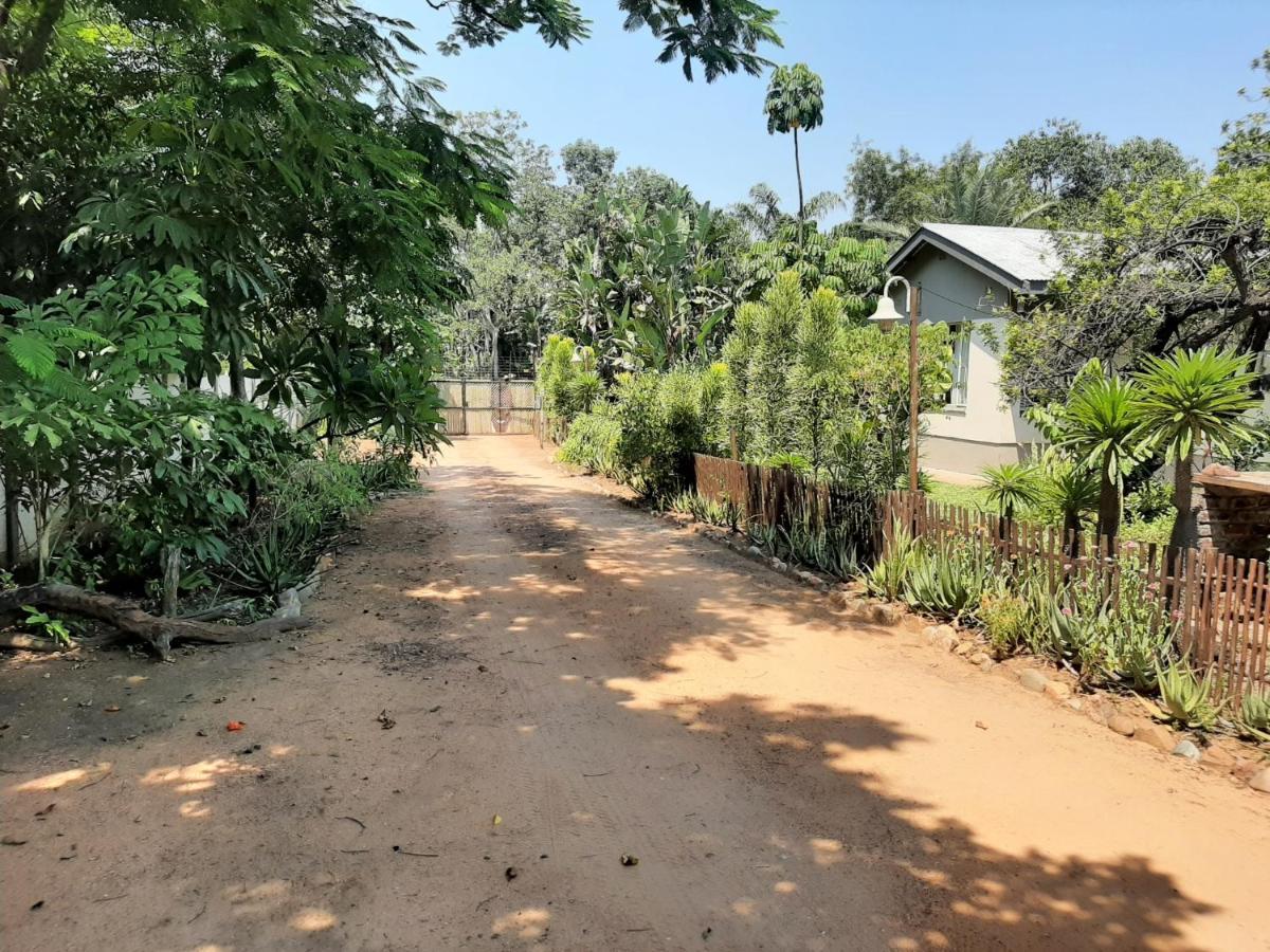Elephant Walk Guesthouse And Back Packers بهالابوروا المظهر الخارجي الصورة